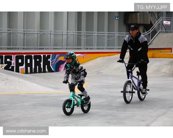 上海滑板队的意识对比与发展趋势深度剖析