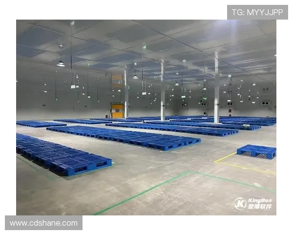 浙江广厦引领发展新篇章 共建现代化体育产业新生态